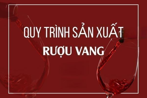 quy trinh san xuat ruou vang